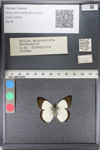 Media type: image;   Entomology 128282
